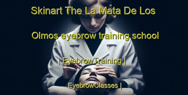 Skinart The La Mata De Los Olmos eyebrow training school | EyebrowTraining | EyebrowClasses | SkinartTraining-Spain